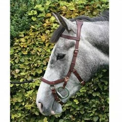 English Bridles Horseware Rambo Micklem Multibridle