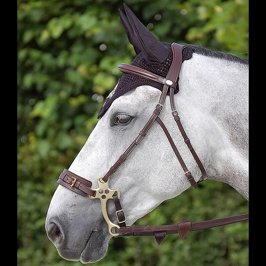 Sagmae Dyon Hackamore Bridle