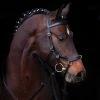 English Bridles Horseware Rambo Micklem Multibridle