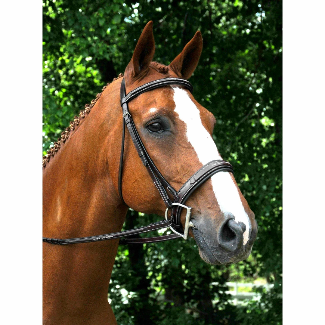 Red Barn By KL Select Tryon Hunter Bridle English Bridles