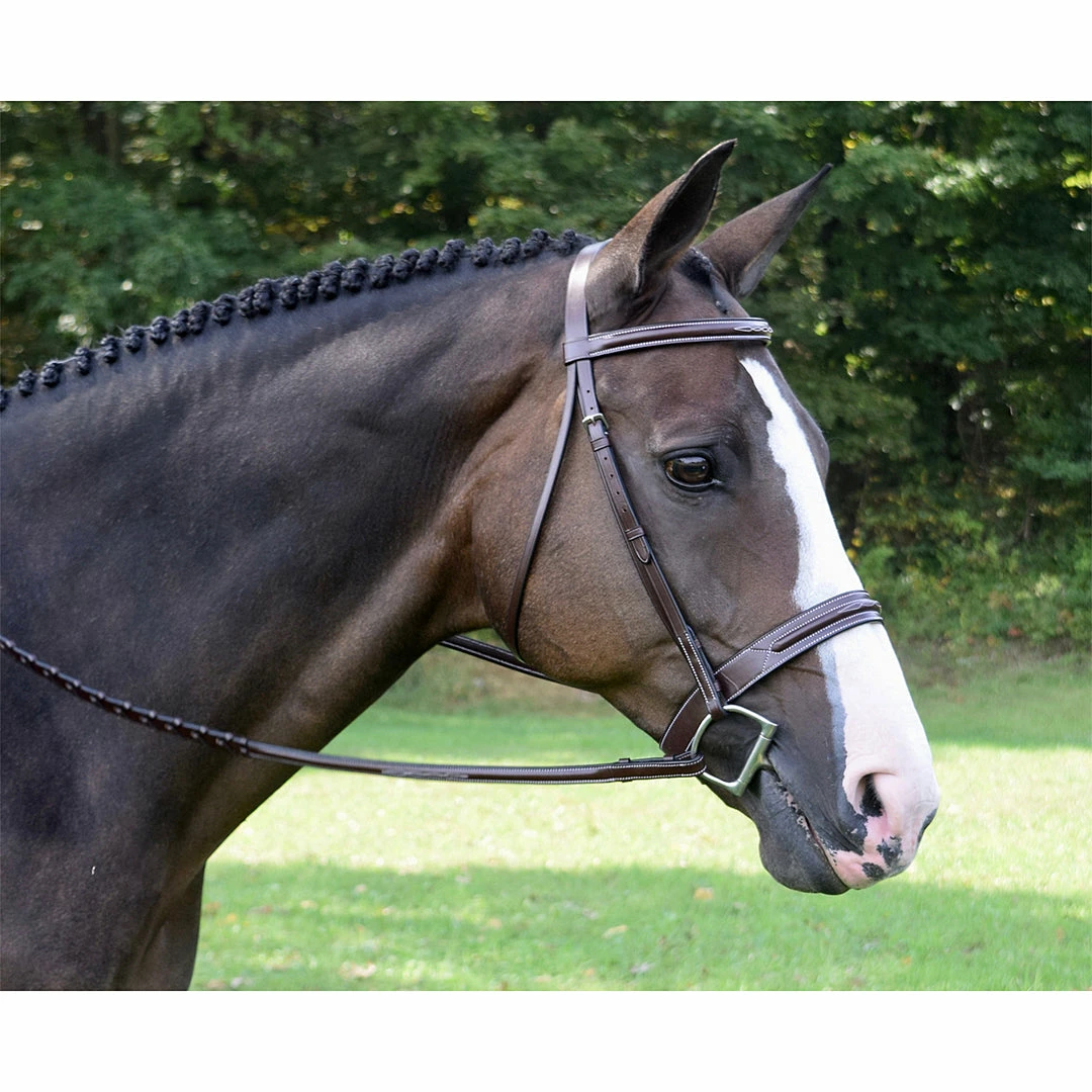 Red Barn By KL Select Sonoma Hunter Bridle