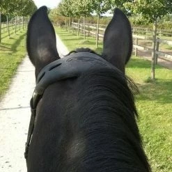 Frantisi Horse Bits Acavallo Gel Nose Or Poll Guard