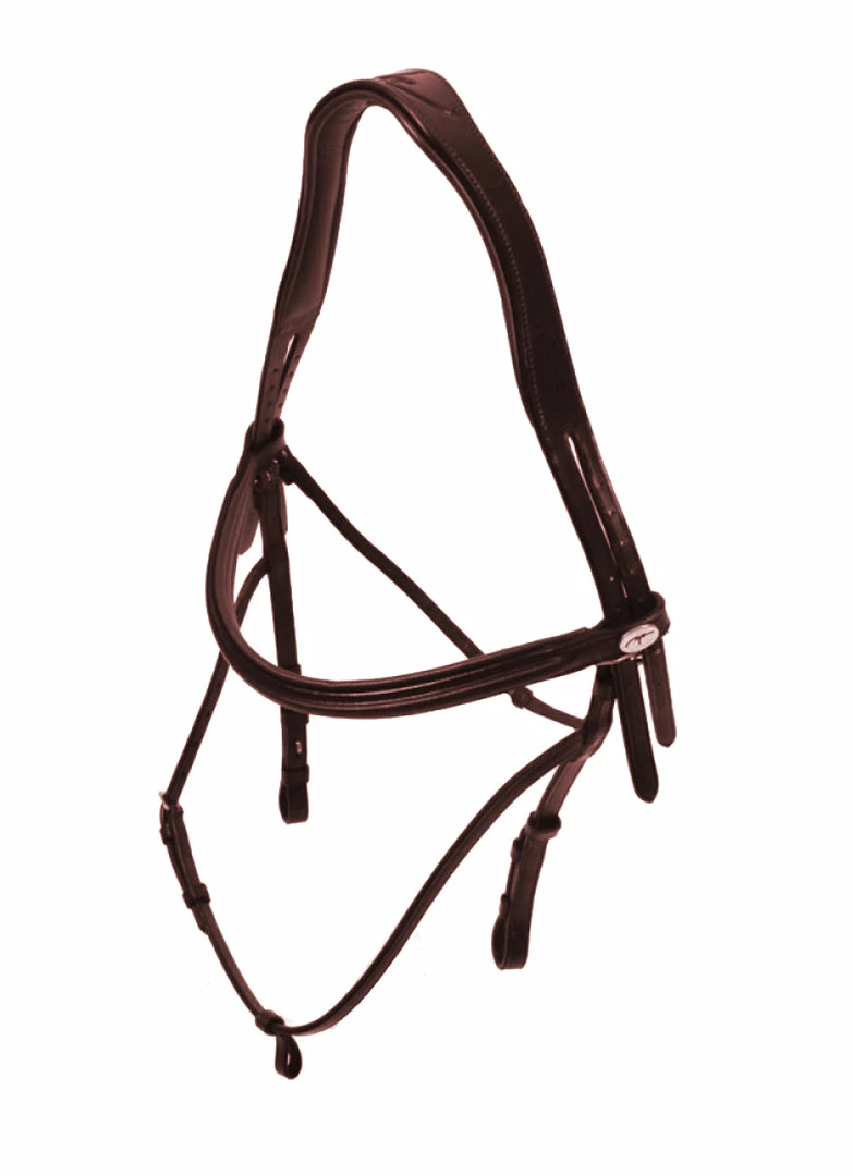 Sagmae Dyon Hackamore Bridle