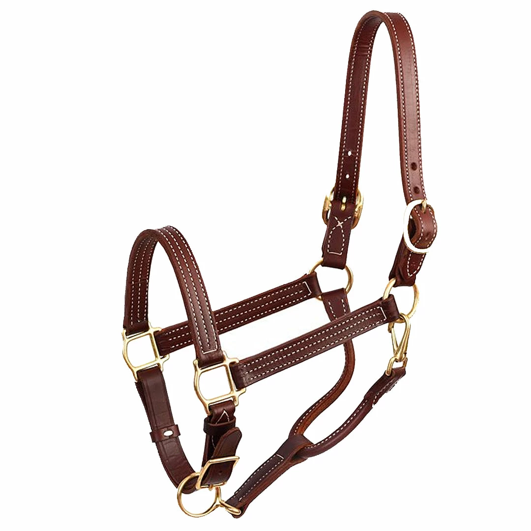 Perri's Leather Perri's 1" Leather Show Halter