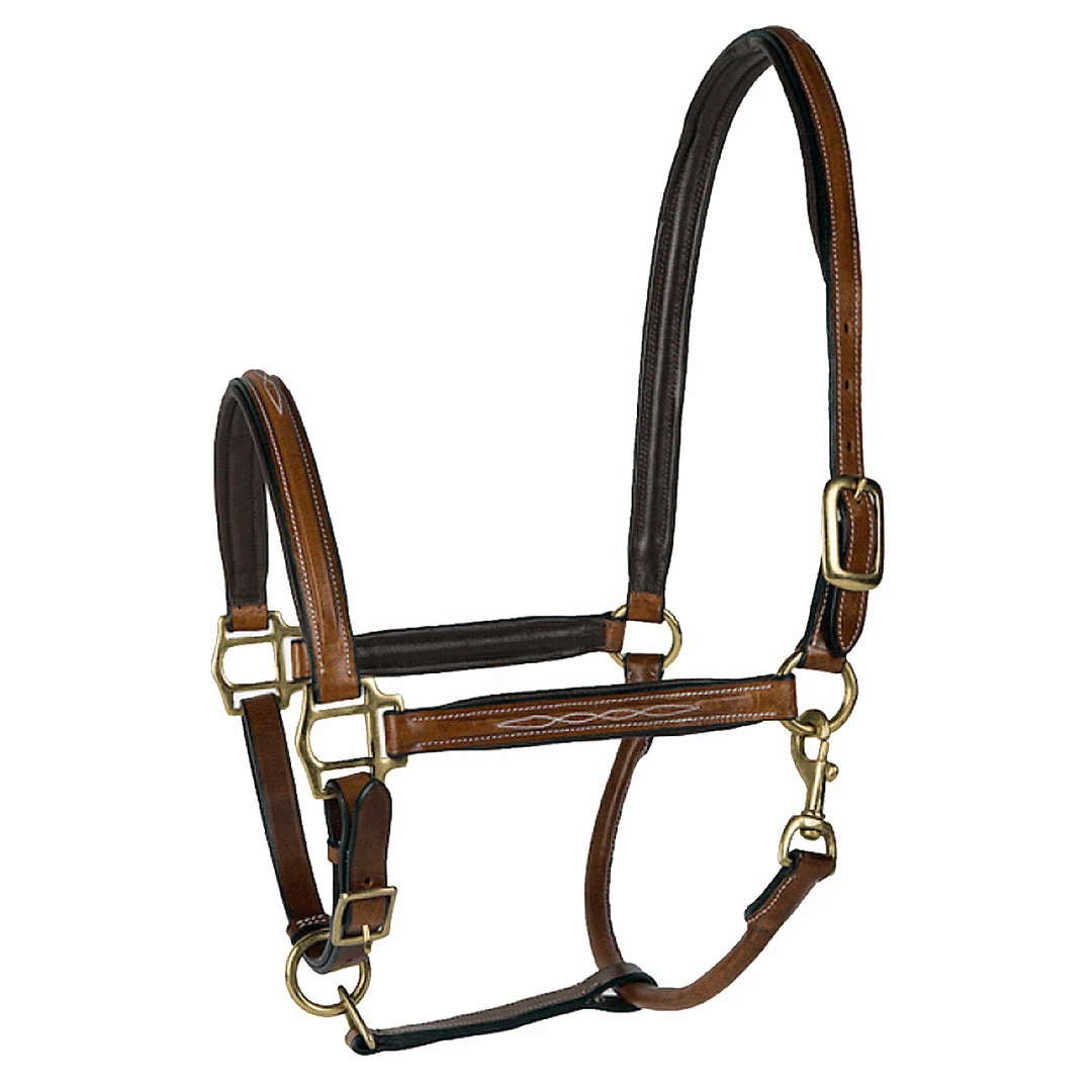JPC Equestrian Lettia Padded Leather Halter Halters & Leads