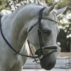 Frantisi Acavallo Sensitive Bit