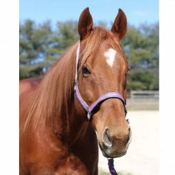 JPC Equestrian Tuffrider Nylon Breakaway Halter And Lead