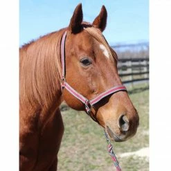 JPC Equestrian Tuffrider Nylon Breakaway Halter And Lead