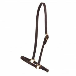 Perri's Leather Halters & Leads Perri's Grooming Halter