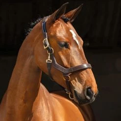 Halters & Leads Horseware Rambo Micklem Halter