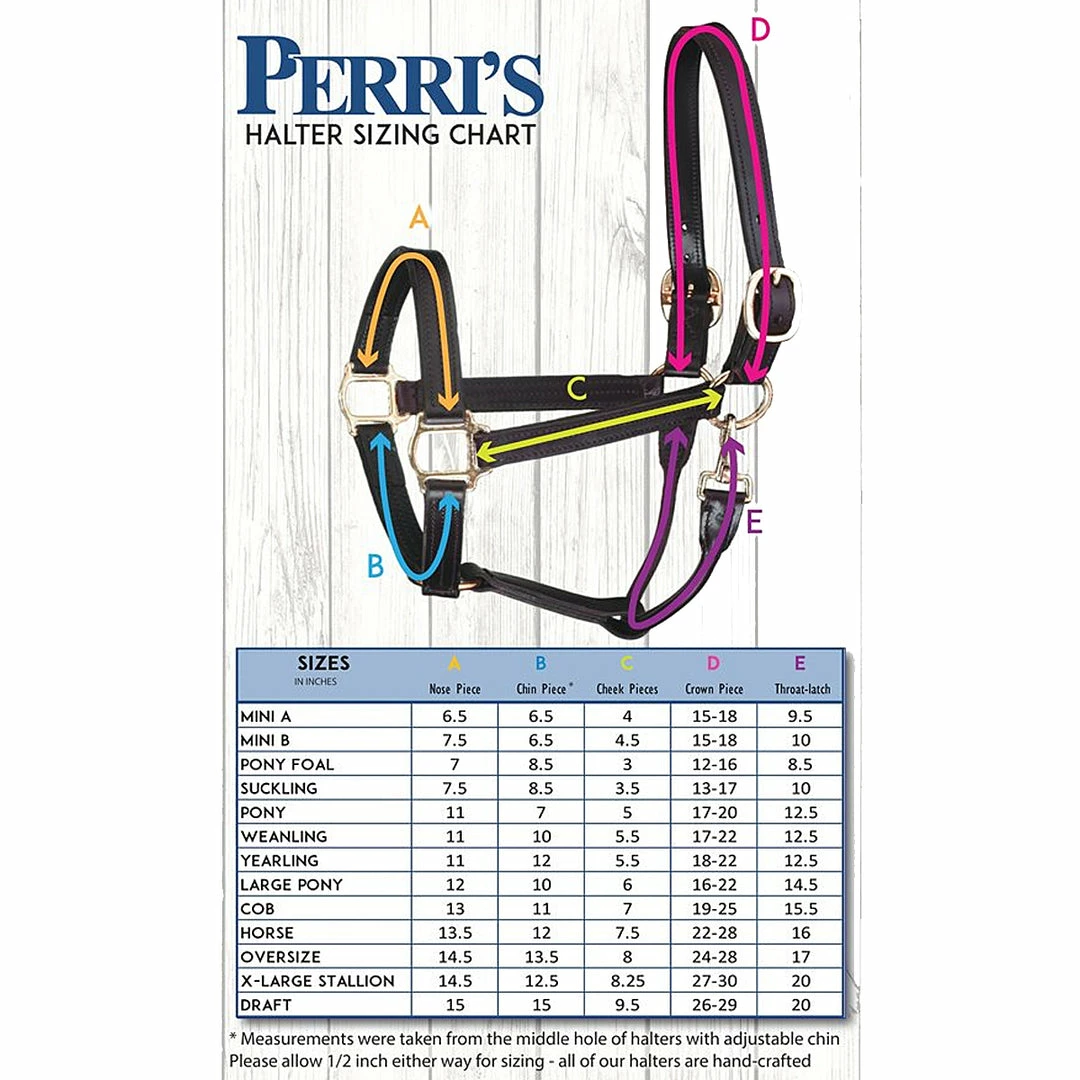 Perri's Leather Perri's 1" Leather Show Halter