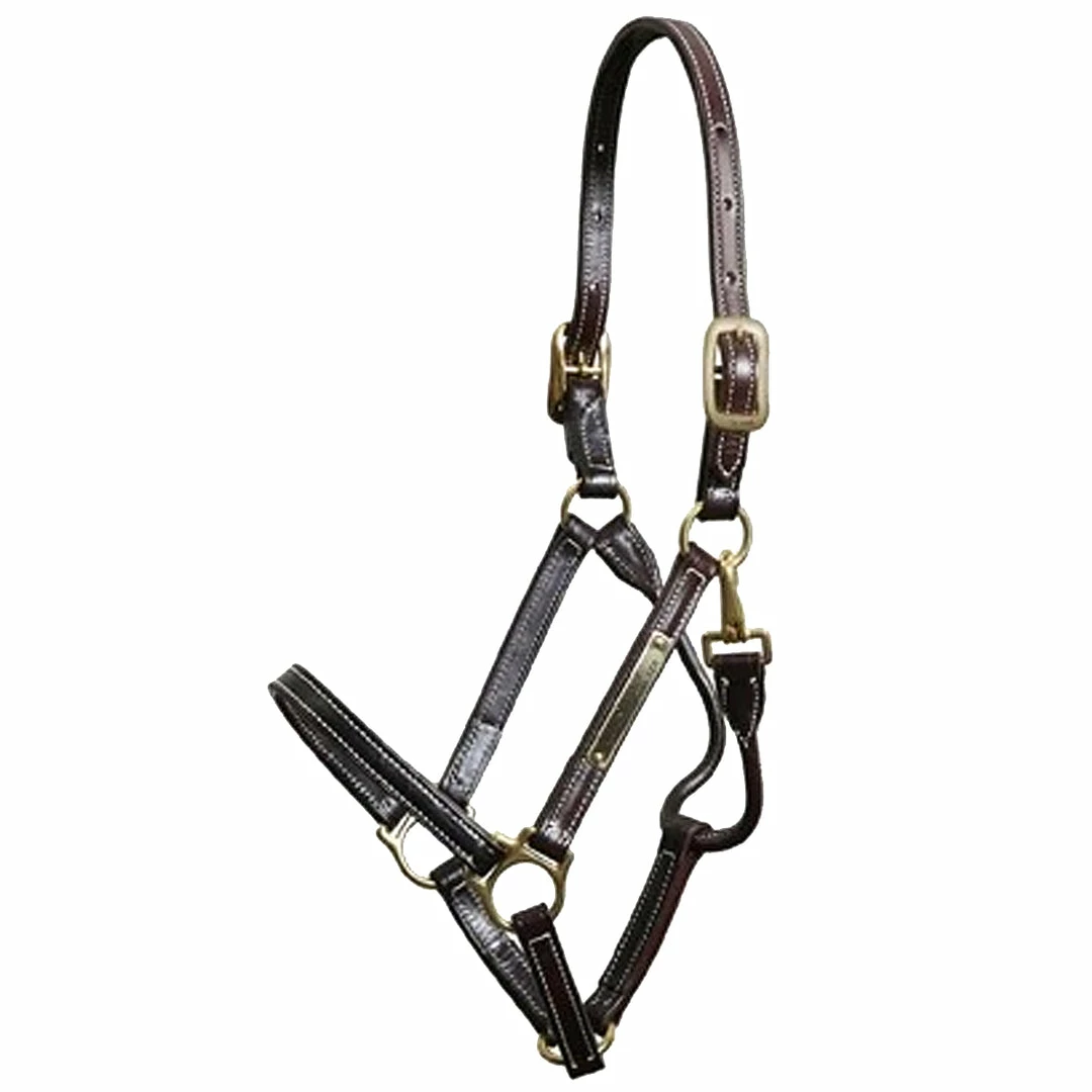 Walsh Showman Halter