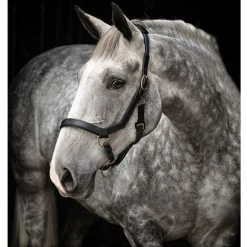 Halters & Leads Horseware Rambo Micklem Halter