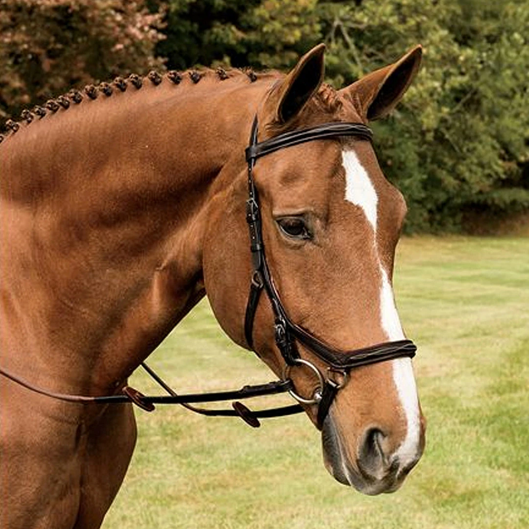 Horseware English Bridles Rambo Micklem Deluxe Competition Bridle