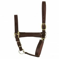 Perri's Leather Perri's Economy Leather Halter Halters & Leads