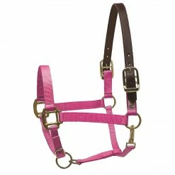 Perri's Leather Perri's Premium Nylon Safety Halter Halters & Leads