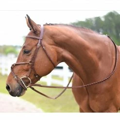 Huntley Equestrian Huntley Fancy Stitch Figure 8 Bridle