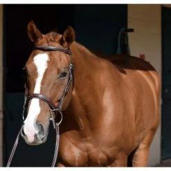 English Bridles Huntley Equestrian Sedgwick Leather Fancy Stitched Bridle