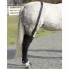 Ice Horse Full Hind Leg Wrap