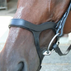 Nunn Finer Innovativo Shaped Bridle English Bridles