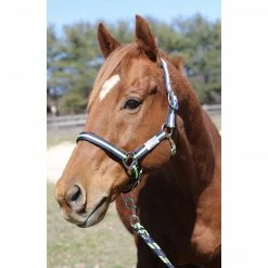 JPC Equestrian Tuffrider Nylon Breakaway Halter And Lead