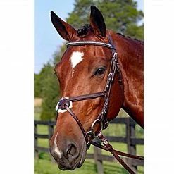 English Bridles Nunn Finer Figure Eight Bridle