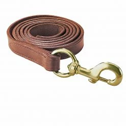 Halters & Leads Perri's Leather Lead With Snap