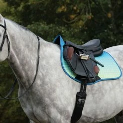 Saddle Pads & Fittings Weatherbeeta Prime All Purpose Ombre Saddle Pad