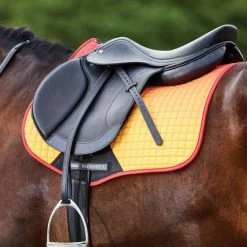 Saddle Pads & Fittings Weatherbeeta Prime All Purpose Ombre Saddle Pad