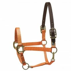 Perri's Leather Perri's Premium Nylon Safety Halter Halters & Leads