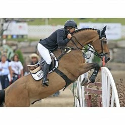 Ogilvy Equestrian Ogilvy Jumper Baby Pad - Custom Saddle Pads & Fittings