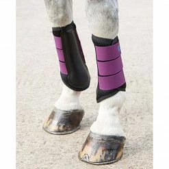 Shires Equestrian Products Arma Air Motion Brushing Boots Horse Boots & Wraps