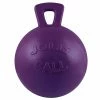 Jacks Mfg Jolly Ball With 10" Handle