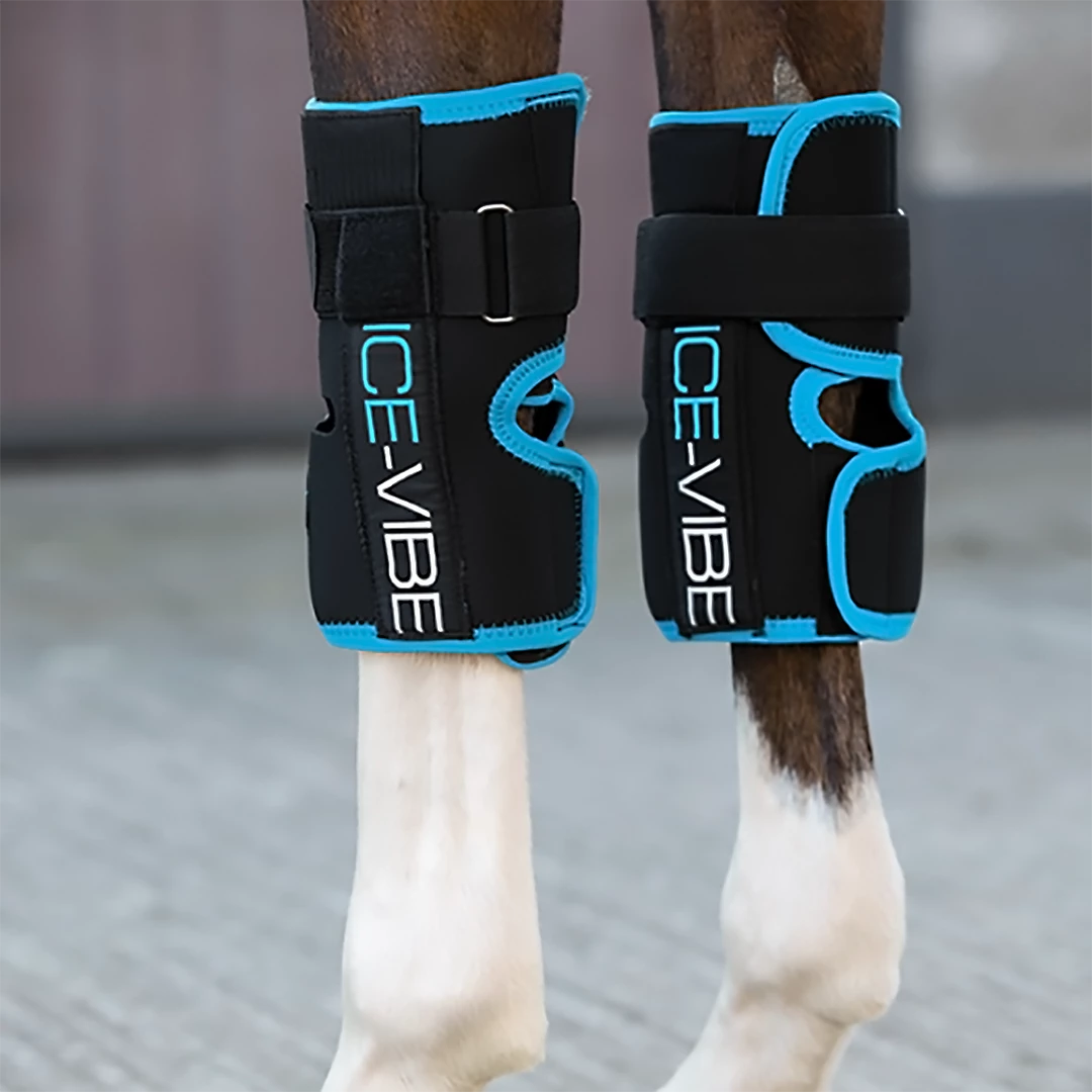 Therapeutic Horse Boots & Wraps Ice-Vibe Knee Wrap By Horseware