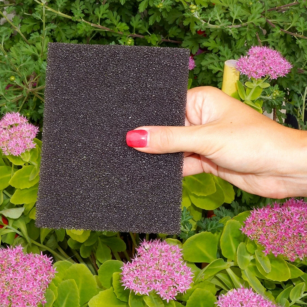 Grooming Nunn Finer Scrub Rub