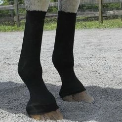 Grooming EquiFit Horsesox
