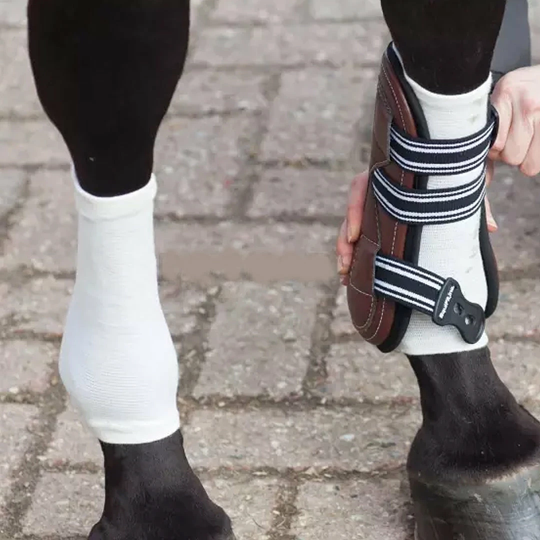 Grooming EquiFit Horsesox