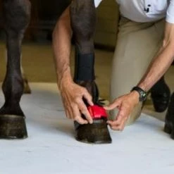 ThinLine Gatorbootz Bell Boot Horse Boots & Wraps