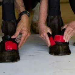 ThinLine Gatorbootz Bell Boot Horse Boots & Wraps