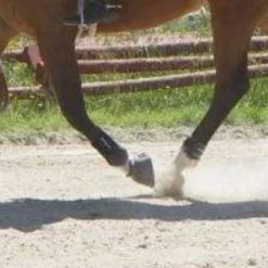 ThinLine Gatorbootz Bell Boot Horse Boots & Wraps