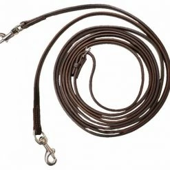 Walsh Leather Draw Reins